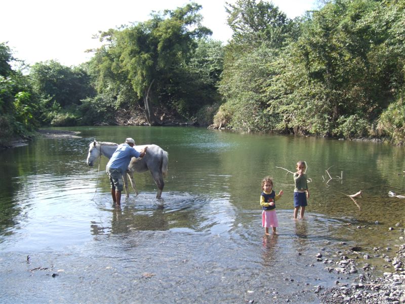 Cheval
